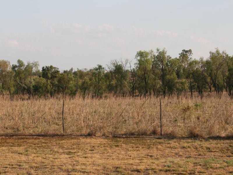 Capella QLD 4723