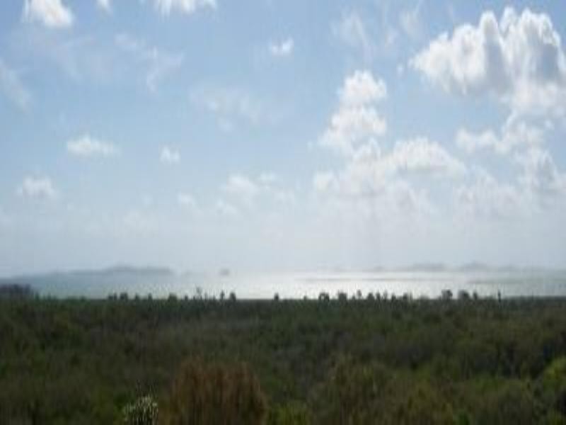 Pacific Heights QLD 4703