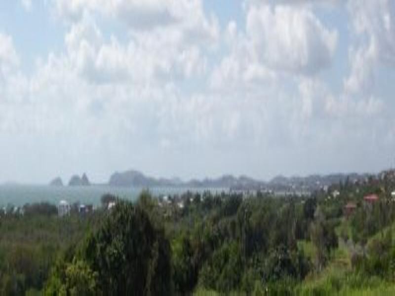 Pacific Heights QLD 4703
