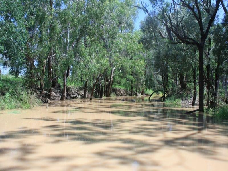 0 “Rolf Park North”  Middlemount, Middlemount QLD 4746