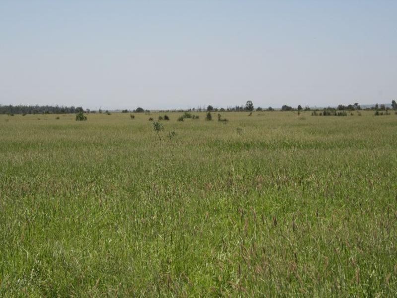 0 “Rolf Park North”  Middlemount, Middlemount QLD 4746