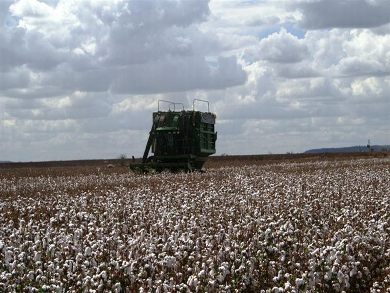 Emerald QLD 4720