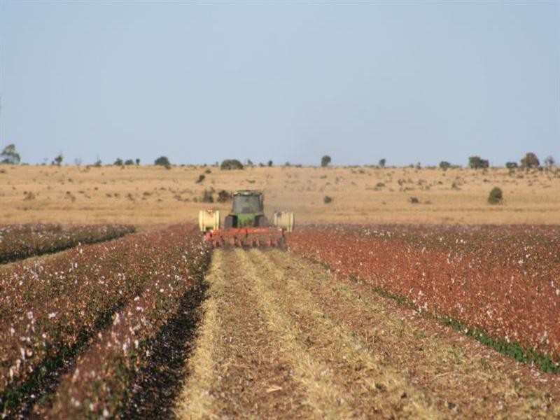 Emerald QLD 4720