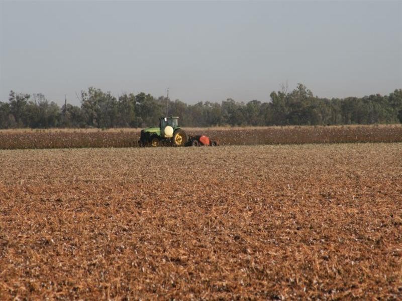 Emerald QLD 4720