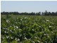 Emerald QLD 4720