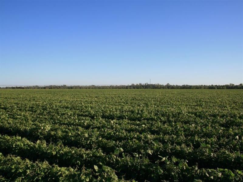 Emerald QLD 4720