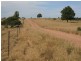 Emerald QLD 4720