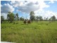 Emerald QLD 4720