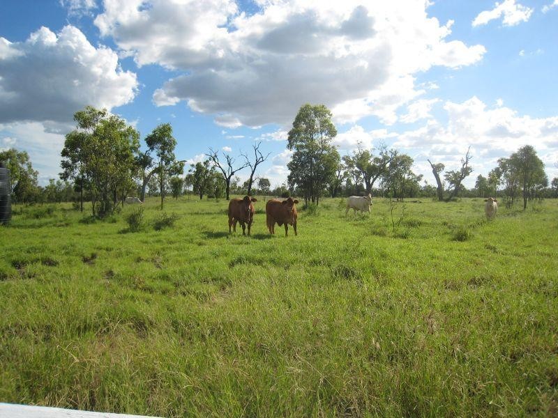 Emerald QLD 4720