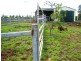 Capella QLD 4723