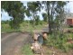 Capella QLD 4723