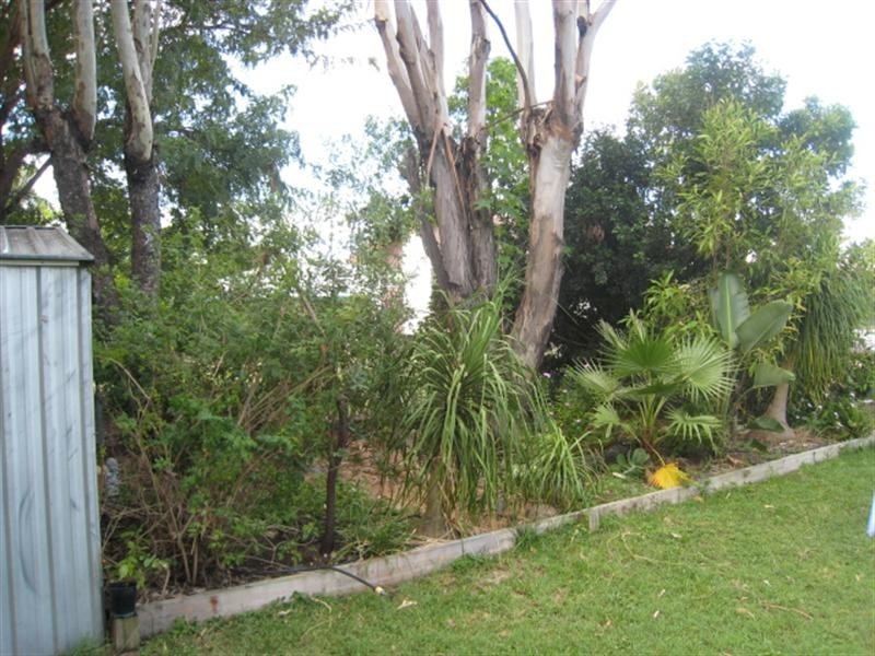 Capella QLD 4723