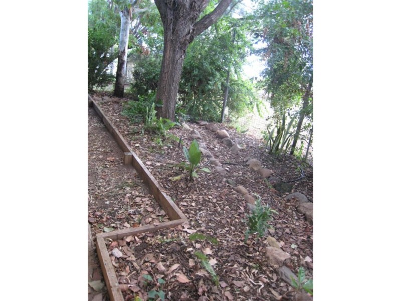 Capella QLD 4723