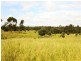 Emerald QLD 4720
