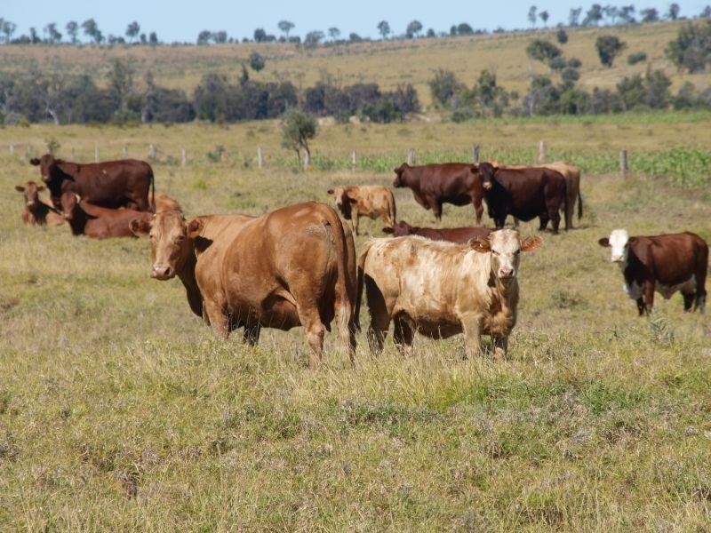 Springsure QLD 4722