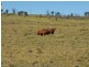Springsure QLD 4722