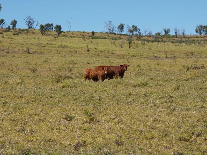 Springsure QLD 4722
