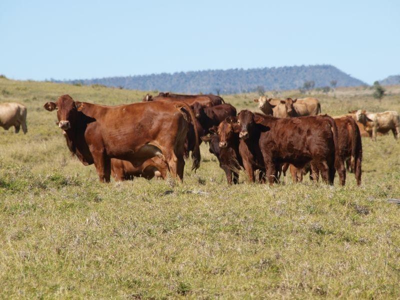 Springsure QLD 4722