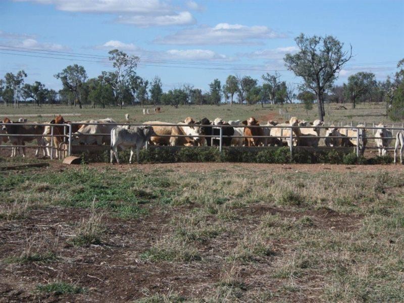 Capella QLD 4723