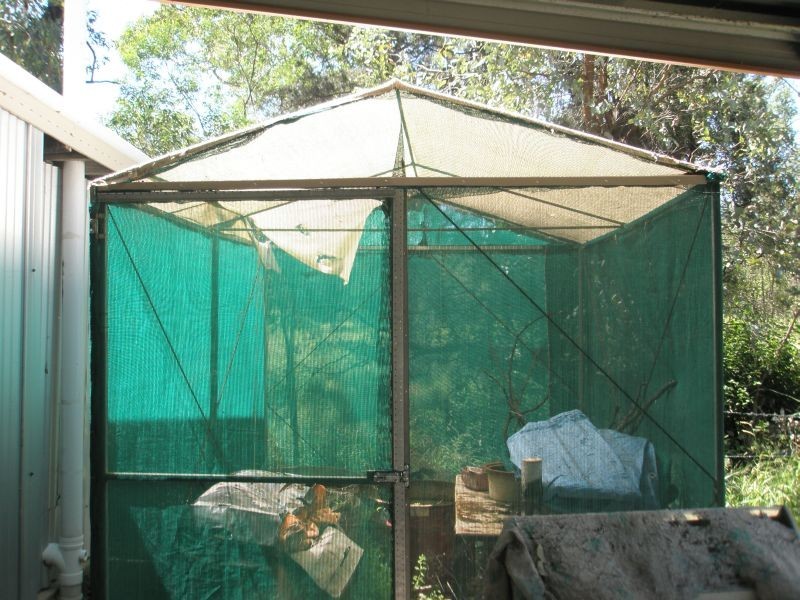 Rubyvale QLD 4702