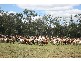 Springsure QLD 4722