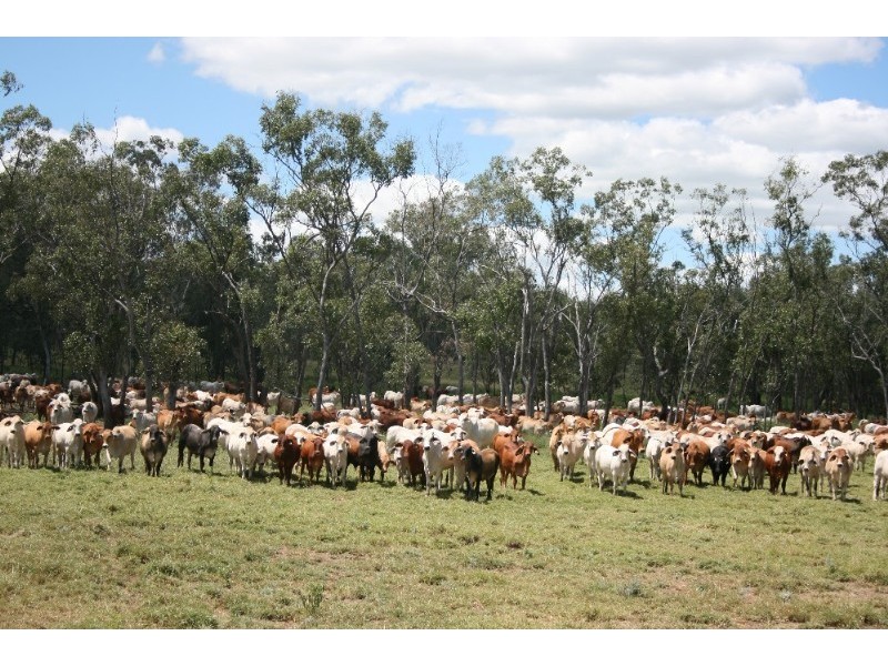 Springsure QLD 4722
