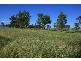 Springsure QLD 4722