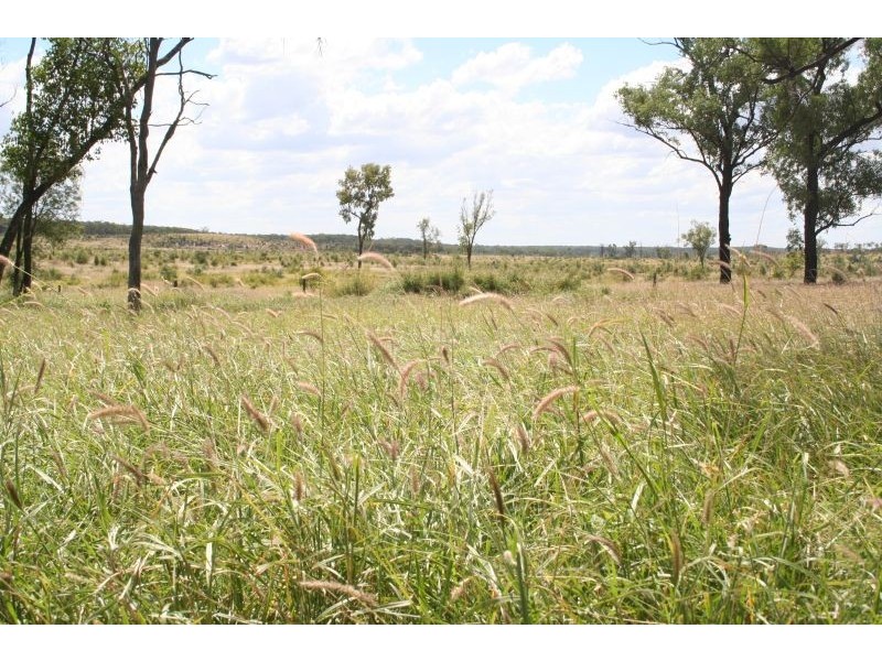 Jericho QLD 4728