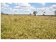 Jericho QLD 4728