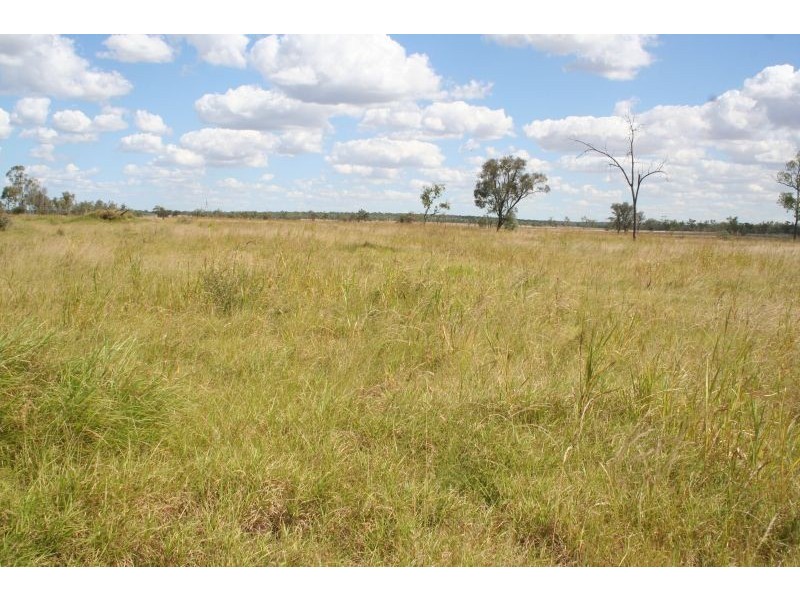 Jericho QLD 4728