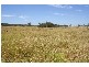 Jericho QLD 4728