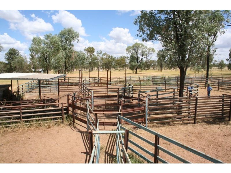 Jericho QLD 4728