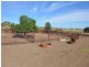 Clermont QLD 4721