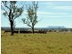Clermont QLD 4721