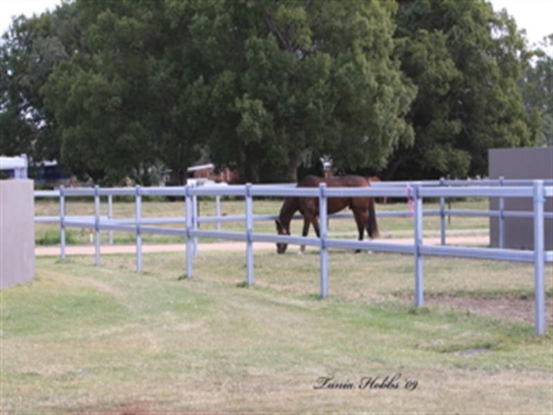 66 Weyers Road, Nudgee QLD 4014