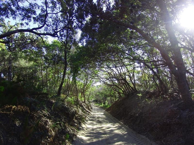 12 Trochus Place, Tangalooma QLD 4025