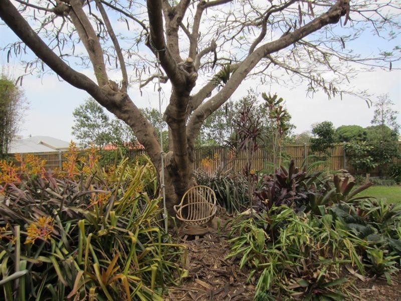 15 Highclere Street, Clayfield QLD 4011