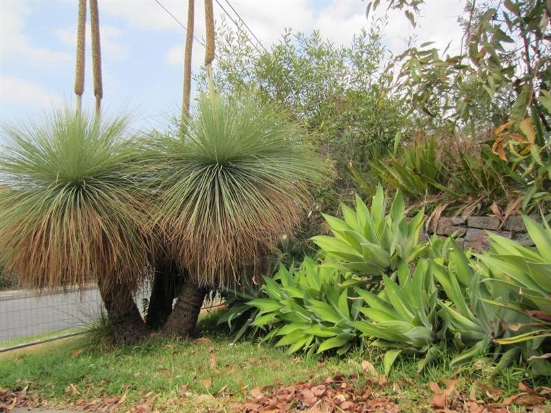 15 Highclere Street, Clayfield QLD 4011