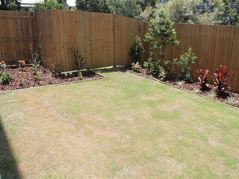 2/12 Noble Street, Clayfield QLD 4011