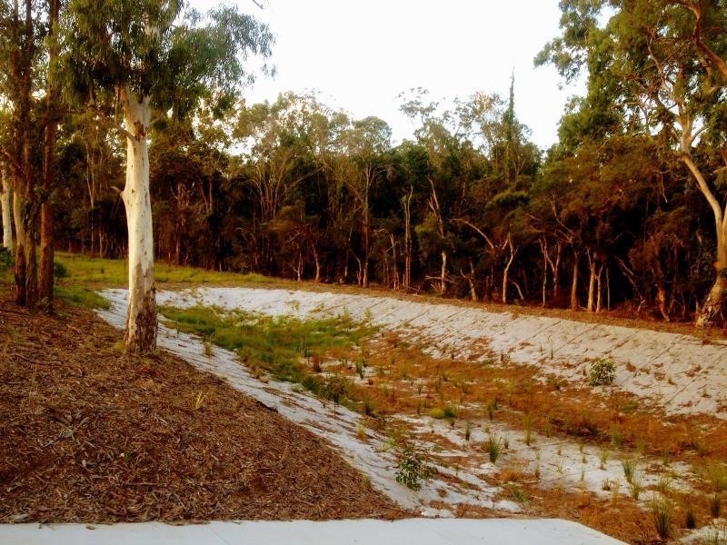 31 Matthew Scott-Young Drive, Cornubia QLD 4130