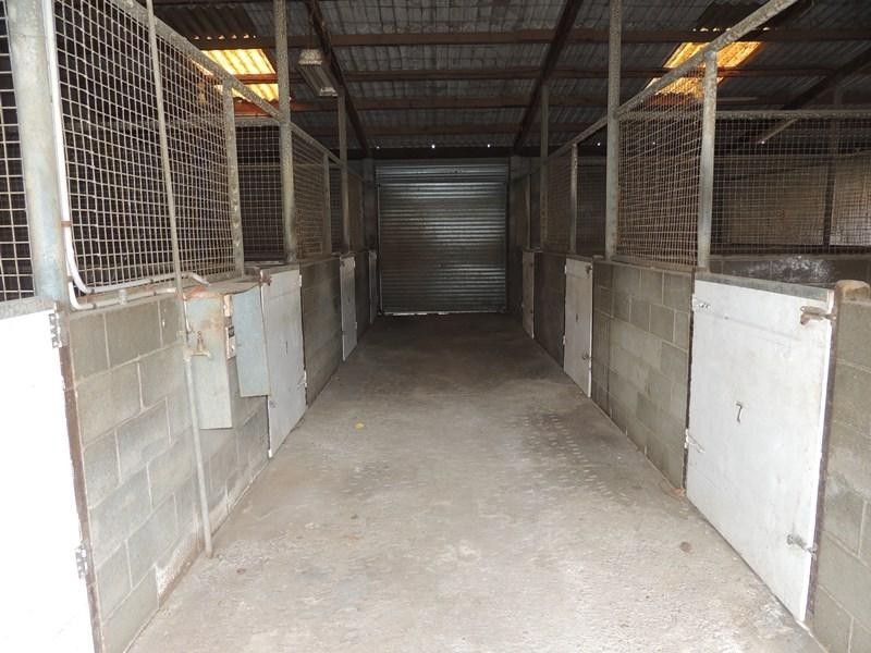 15 Bulli Street, Hendra QLD 4011