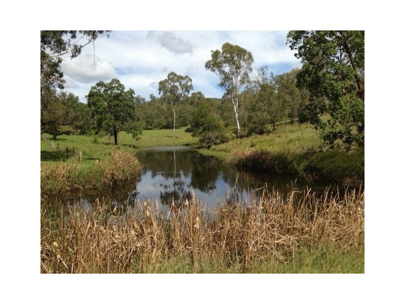2186 Amamoor Creek Road, Amamoor QLD 4570