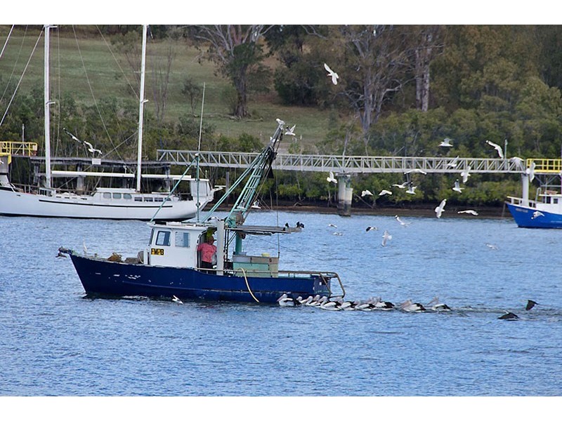 1105/118 Parkside Circuit, Hamilton QLD 4007