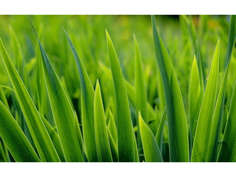 21 Bourne Street, Clayfield QLD 4011