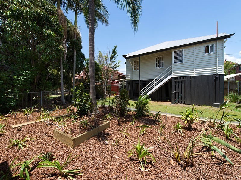 7 Adamson Street, Wooloowin QLD 4030