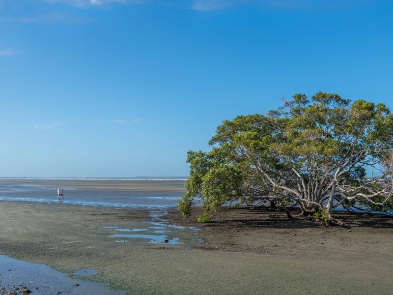 2 Lima Street, Nudgee Beach QLD 4014
