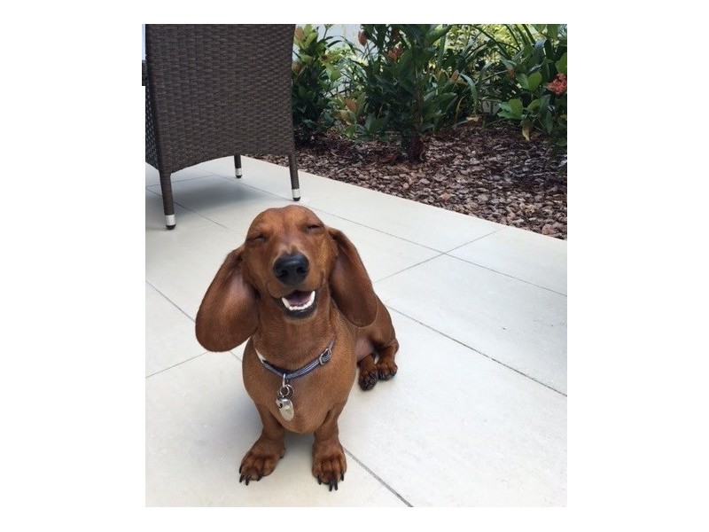 11 Union Street, Nundah QLD 4012