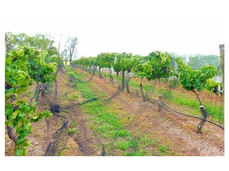 478 Middle Road, Purga QLD 4306