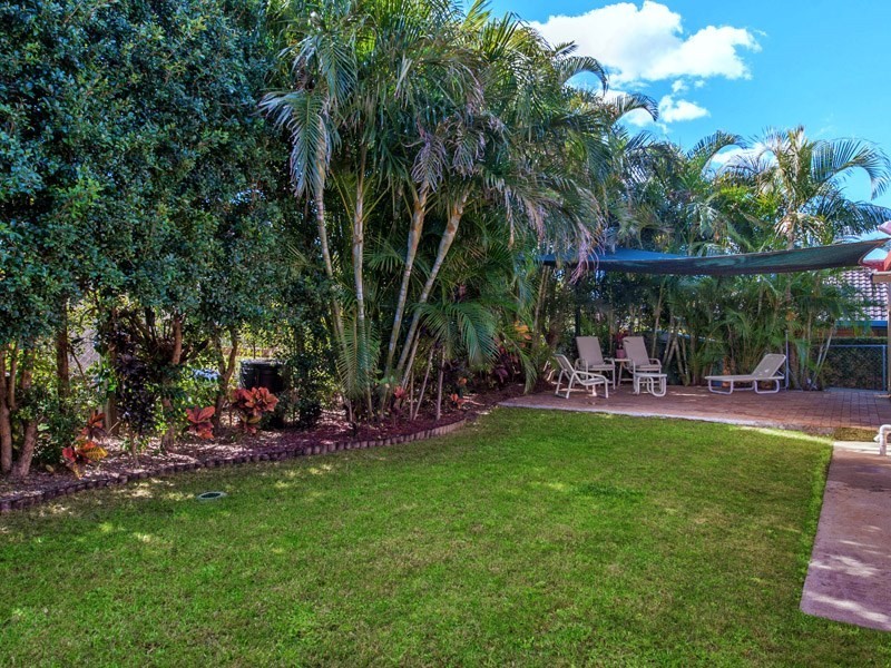 27 McCallum Street, Carseldine QLD 4034