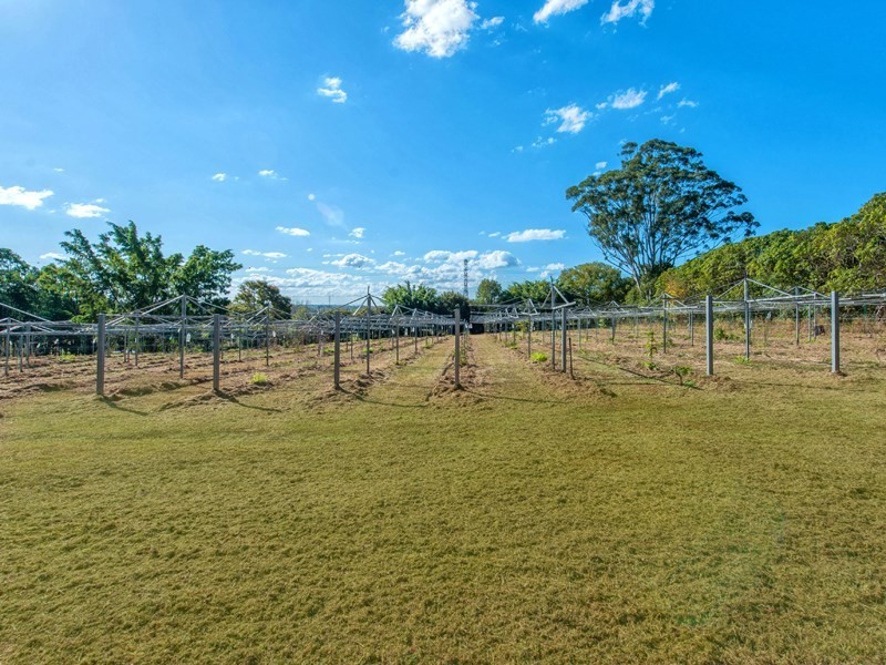 2049 Roghan Road, Bridgeman Downs QLD 4035